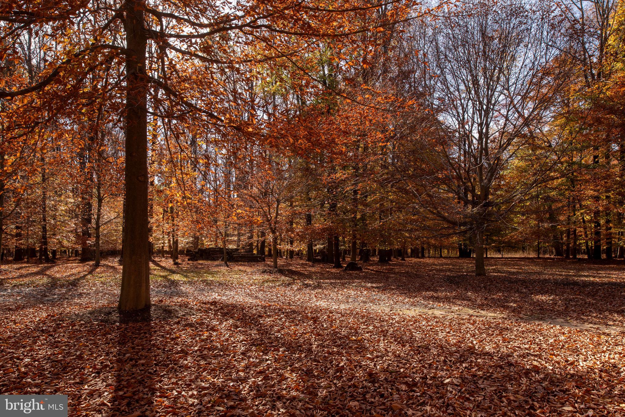 14138 FERN VALLEY LANE