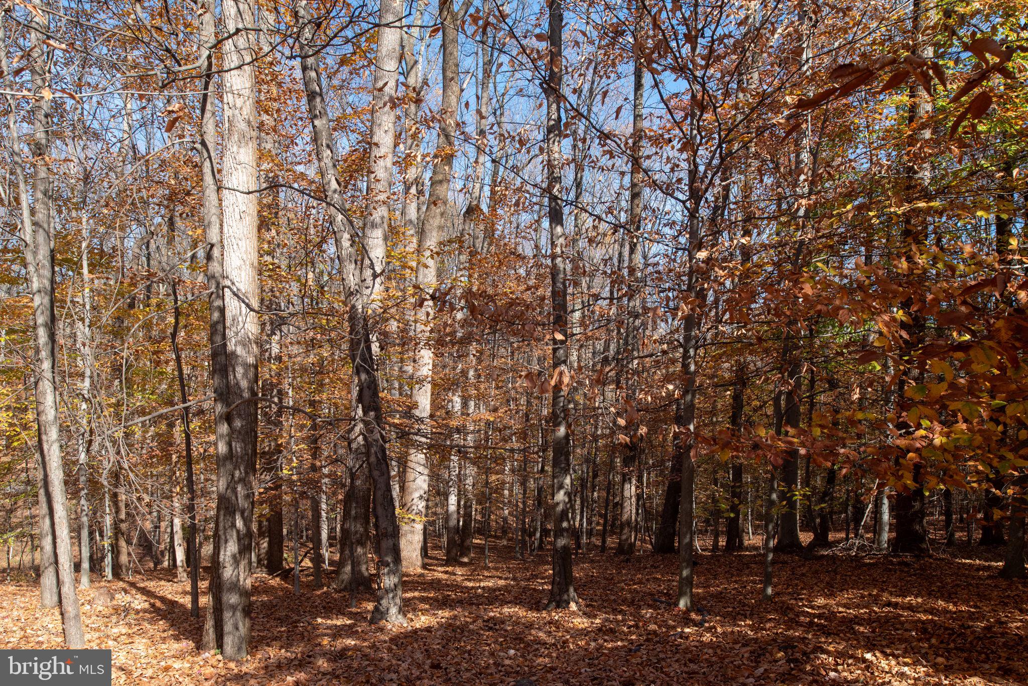 14138 FERN VALLEY LANE