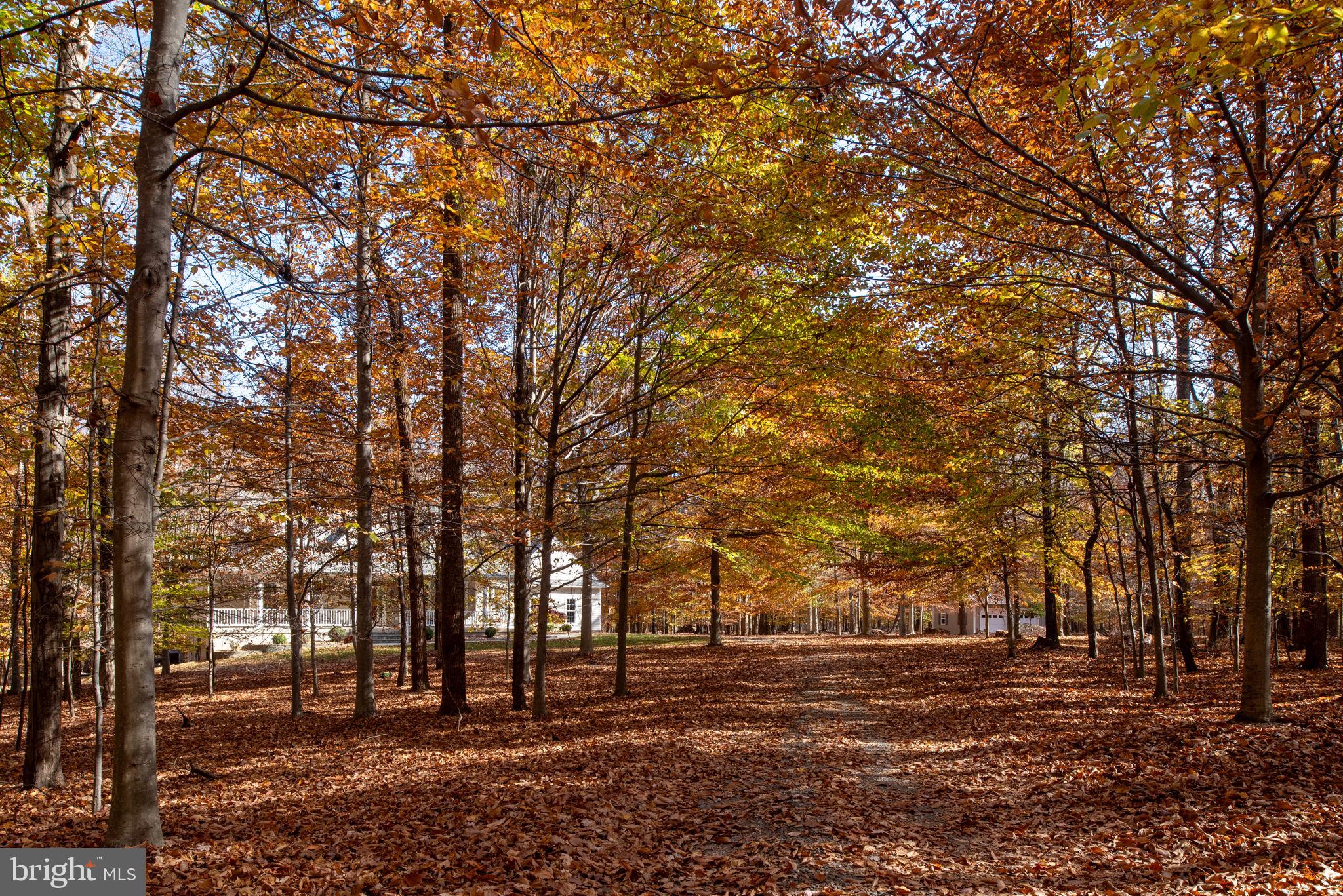 14138 FERN VALLEY LANE