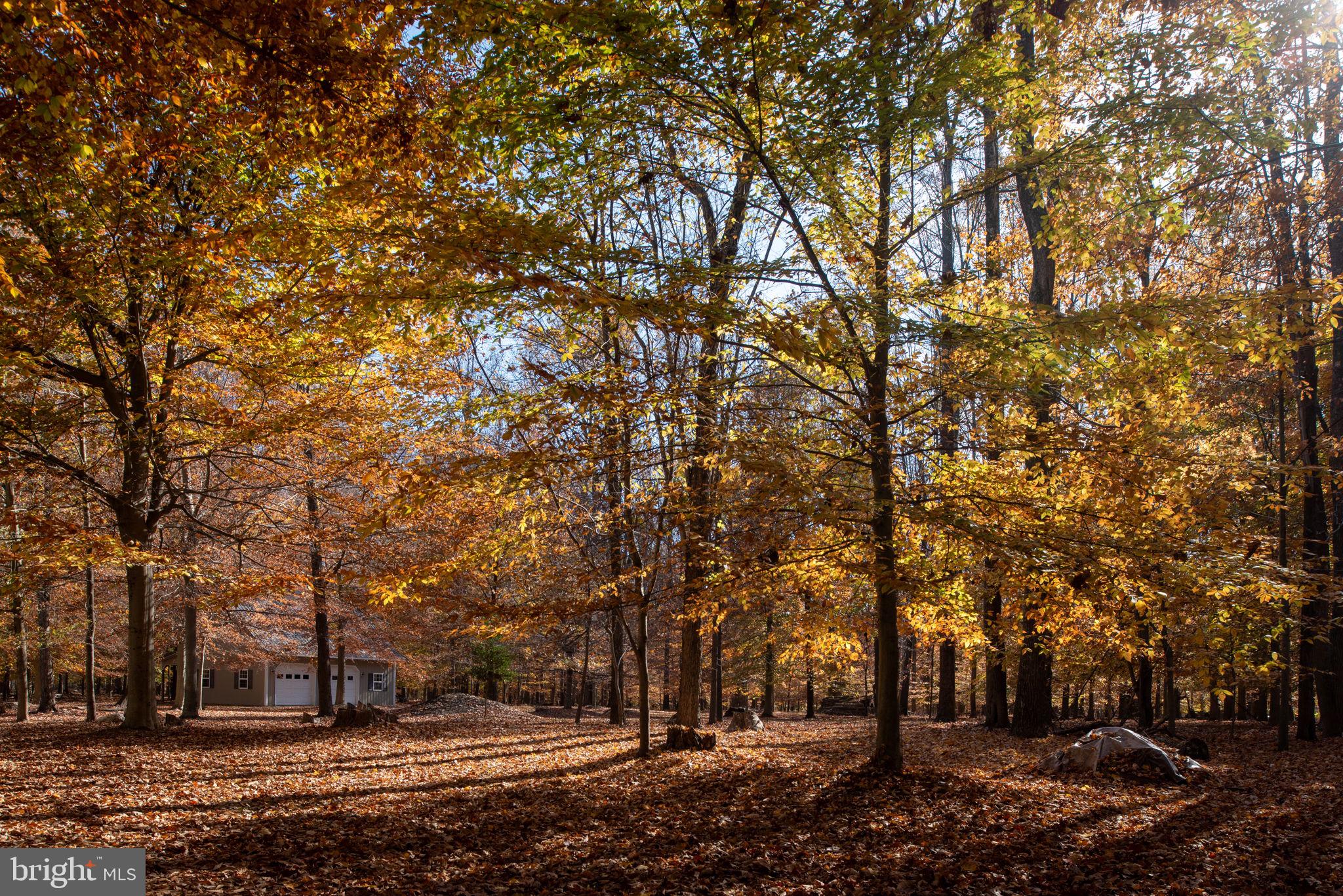 14138 FERN VALLEY LANE