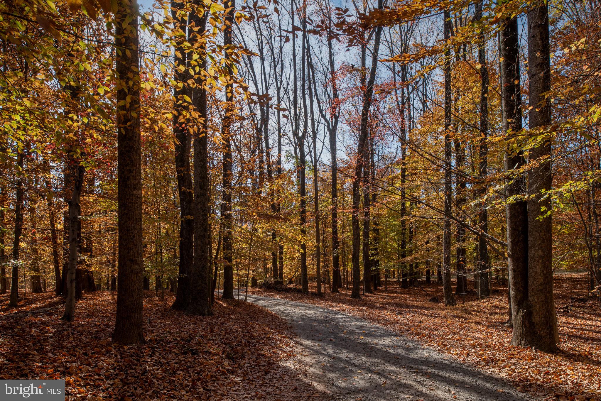 14138 FERN VALLEY LANE