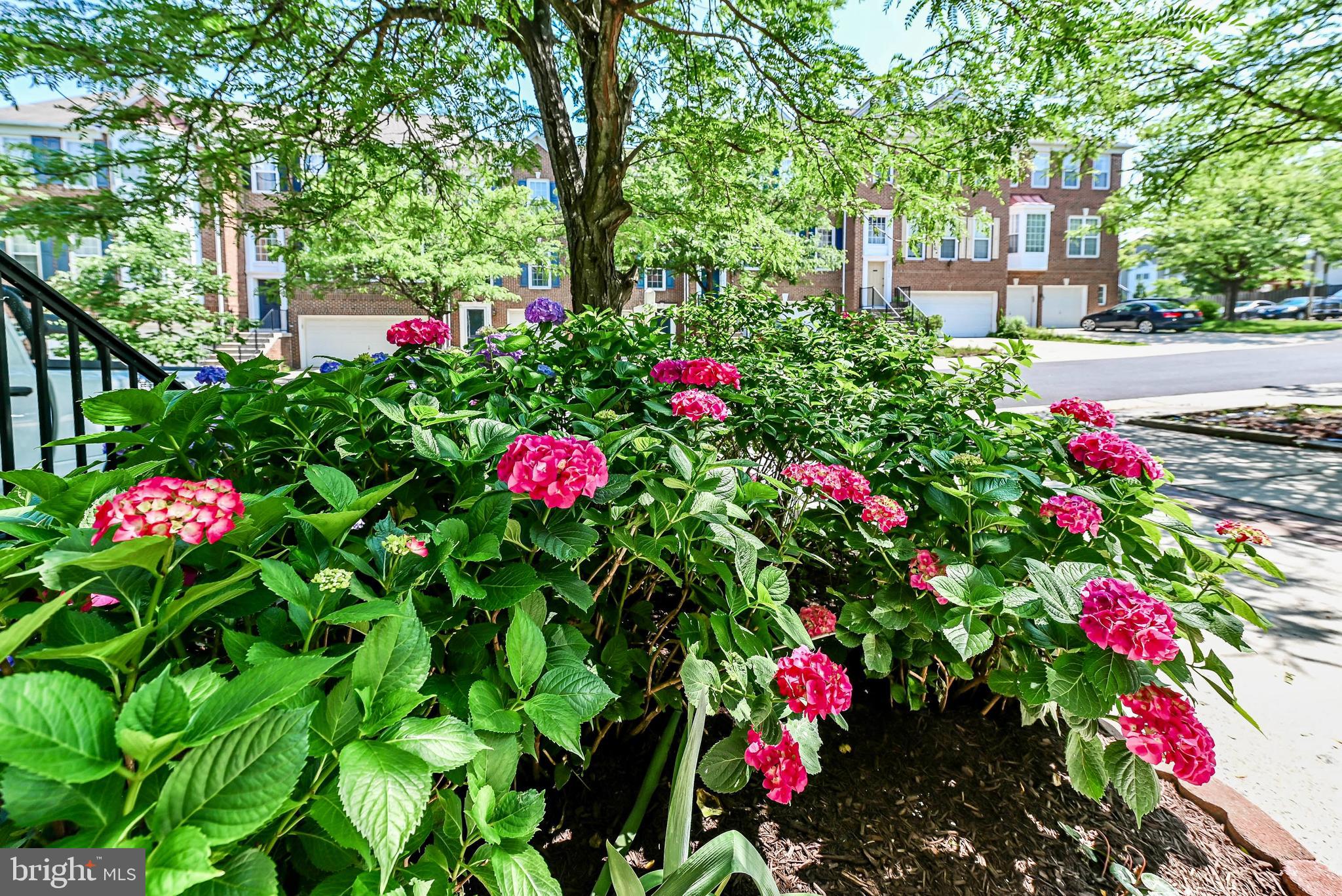 45741 SMOKETREE TERRACE