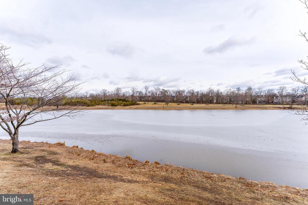 25280 LAKE SHORE SQUARE 102