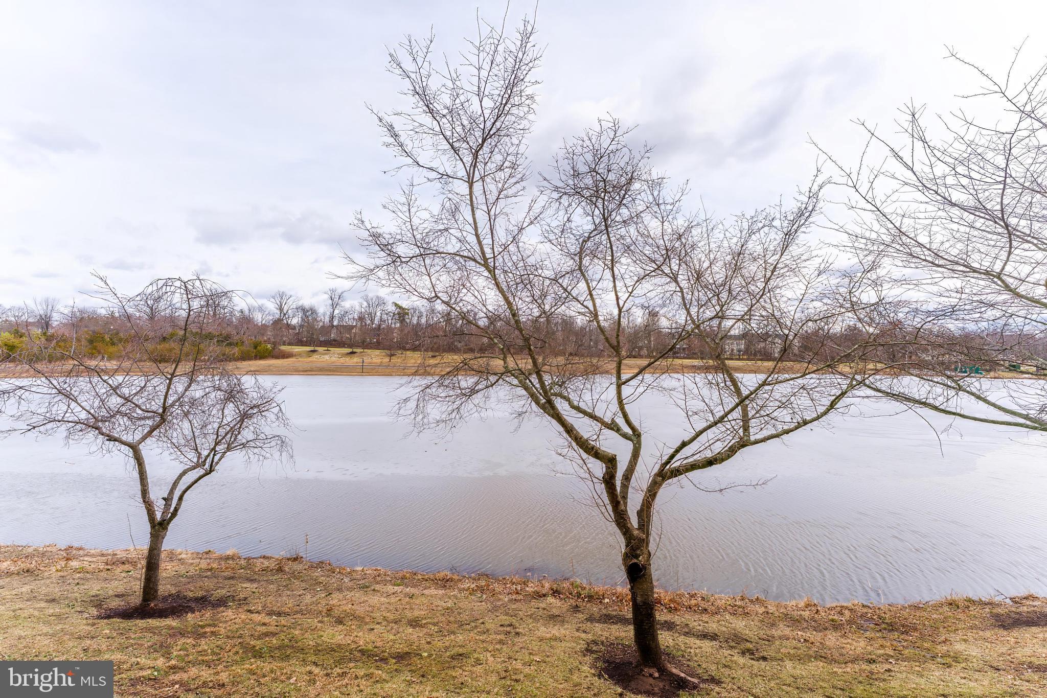 25280 LAKE SHORE SQUARE 102