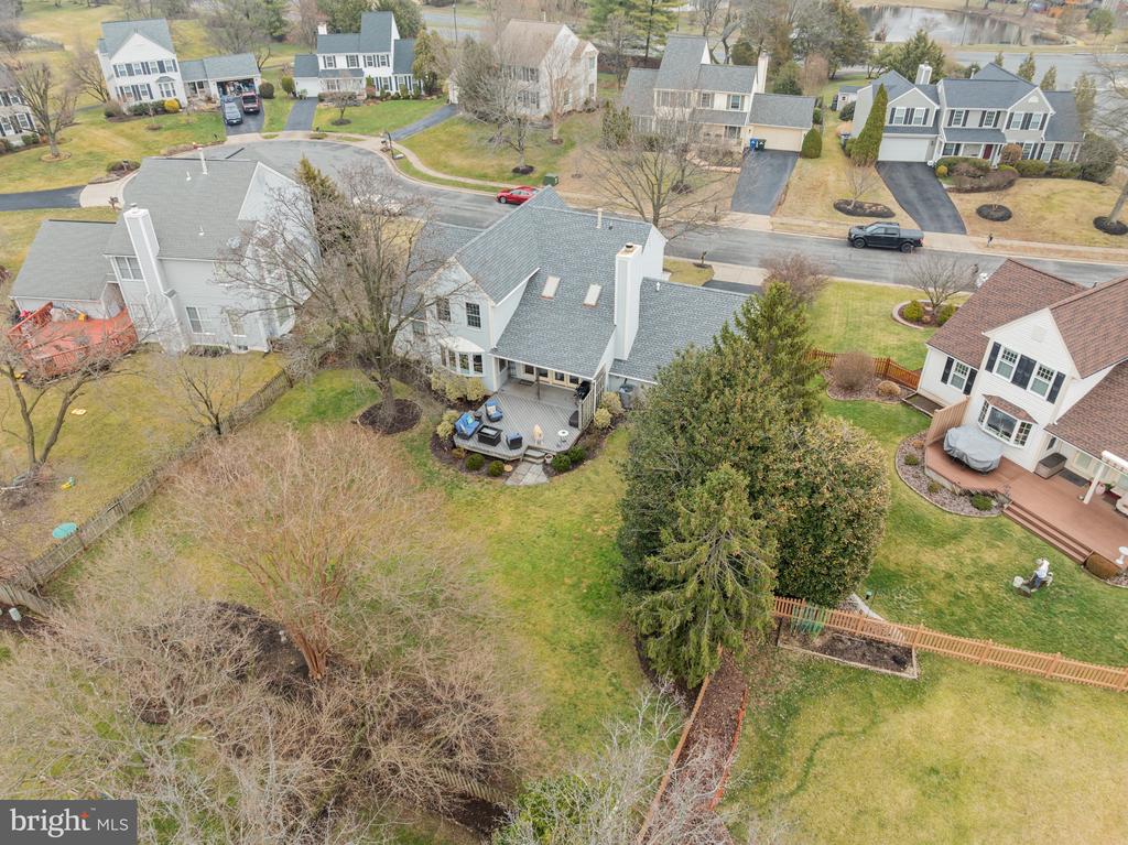 21217 TIGER LILY PLACE
