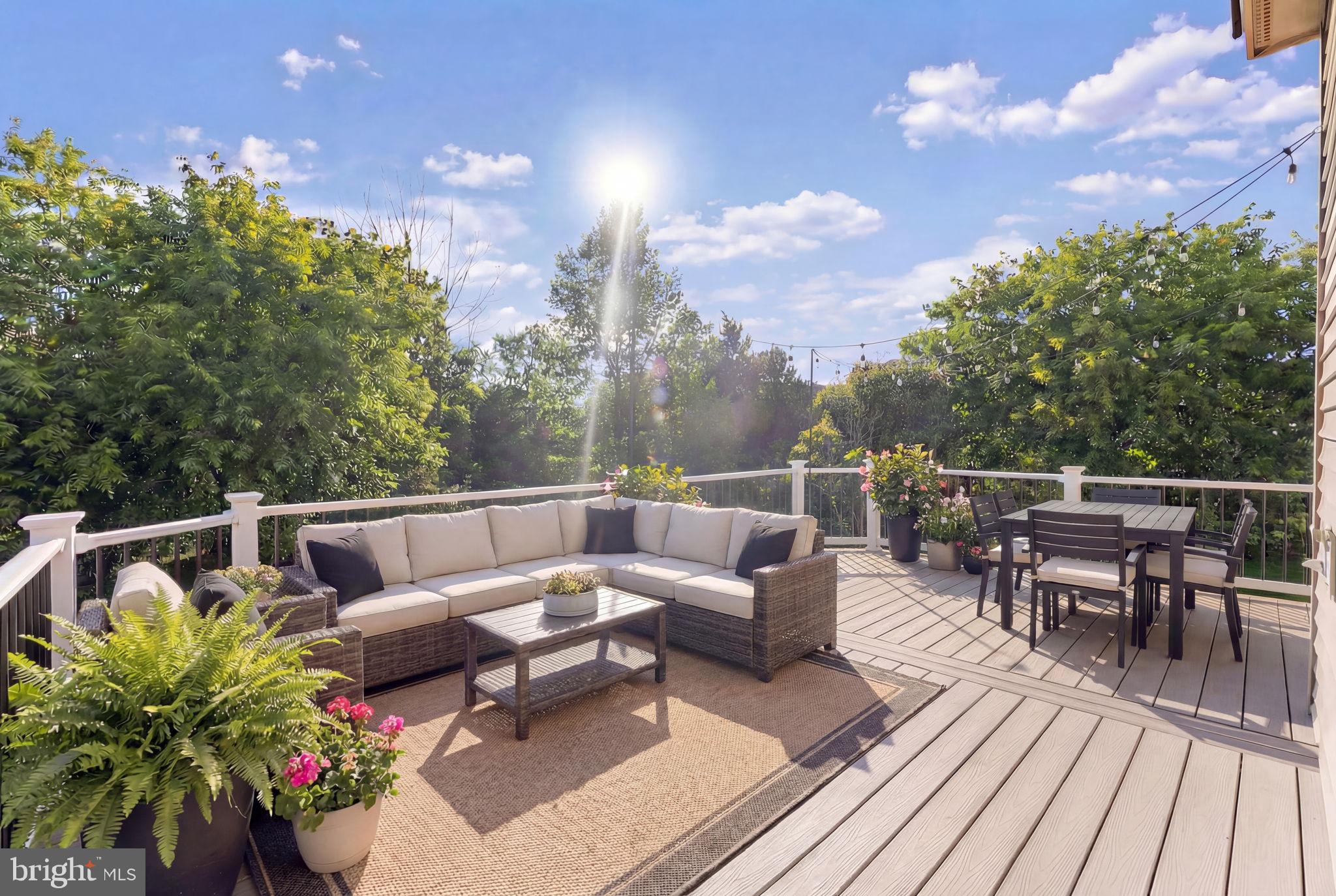 23427 SPICE BUSH TERRACE