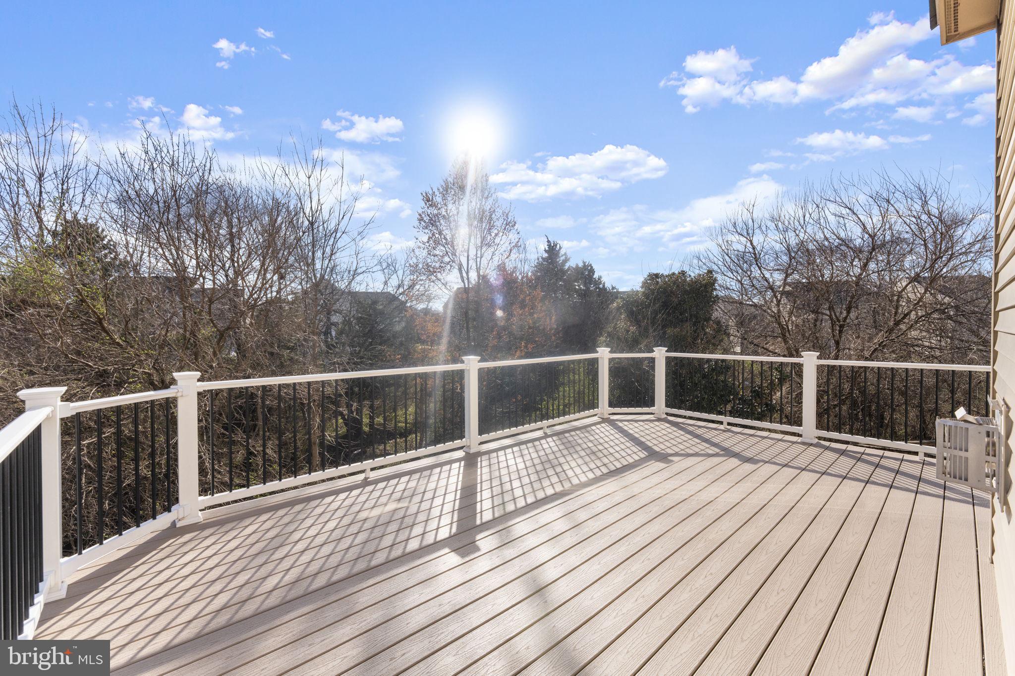 23427 SPICE BUSH TERRACE