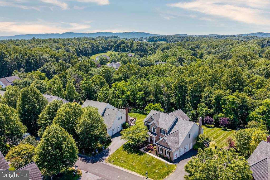 24168 SPRING MEADOW CIRCLE