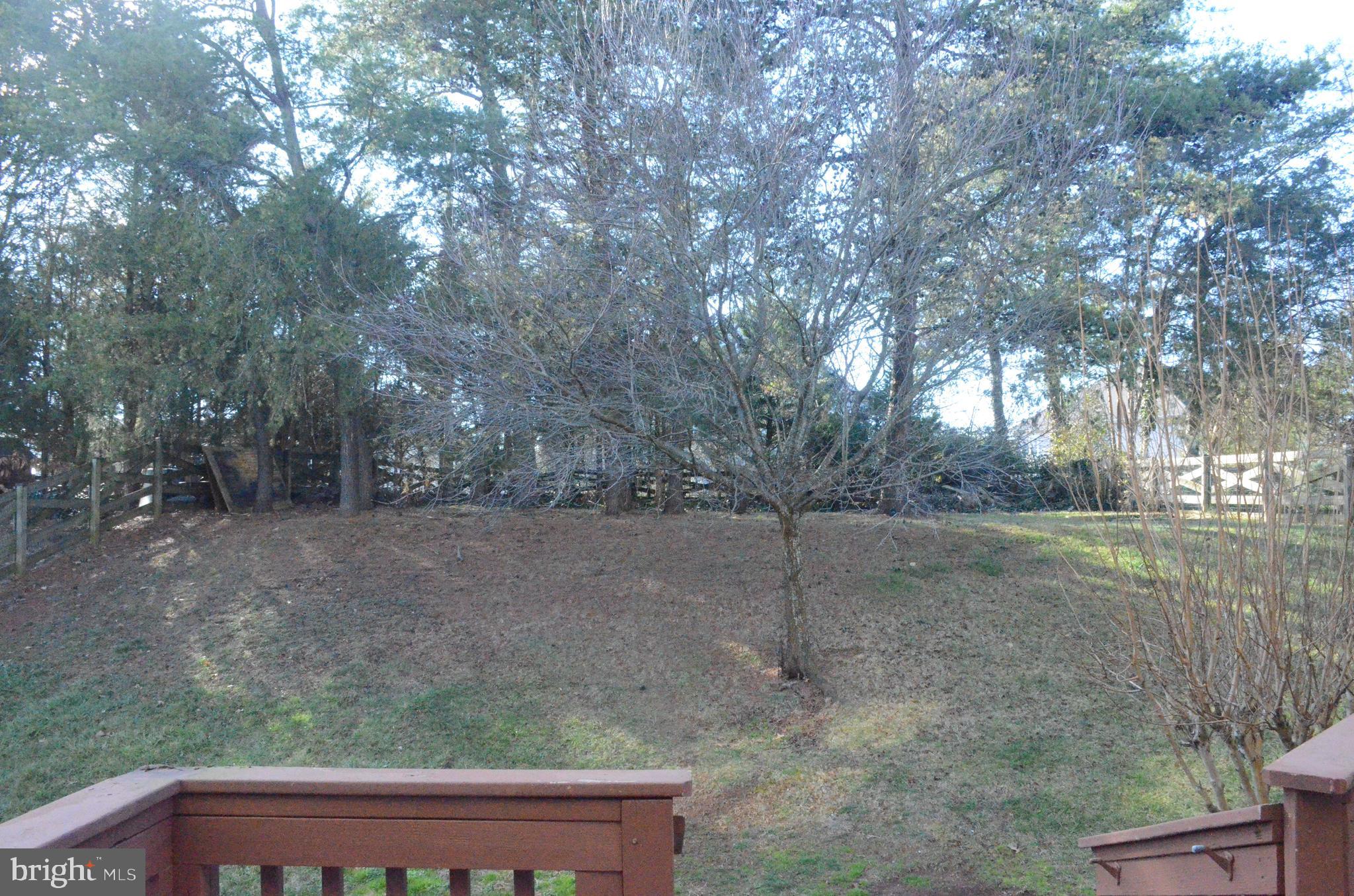 9234 RAINBOW FALLS DR