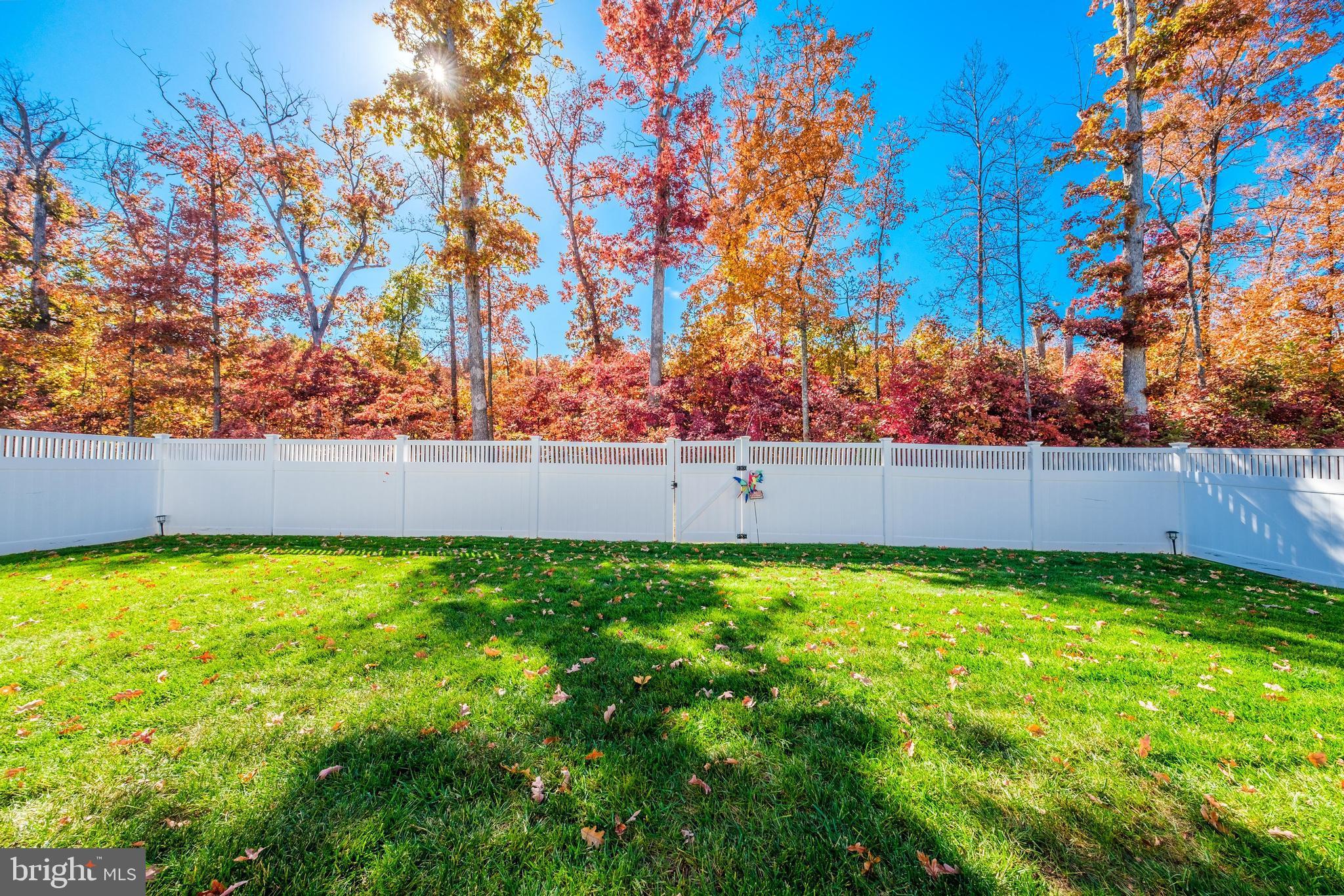 12167 Aster Rd