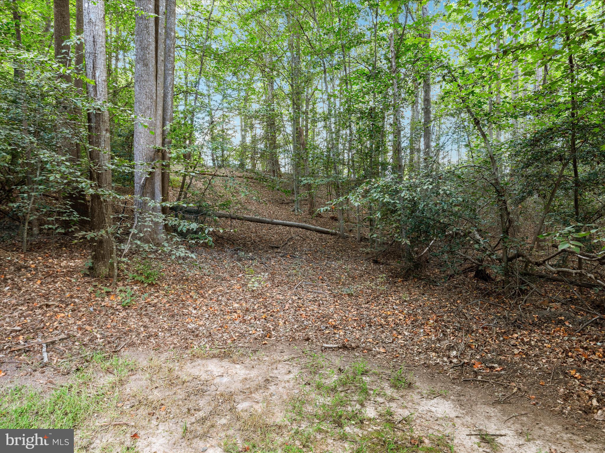 15240 ECLIPSE DRIVE