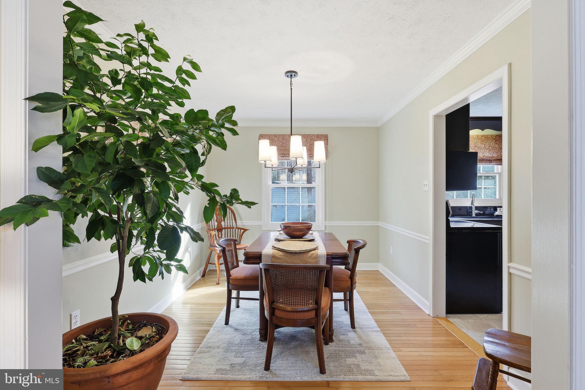 12533 BASSWOOD DRIVE