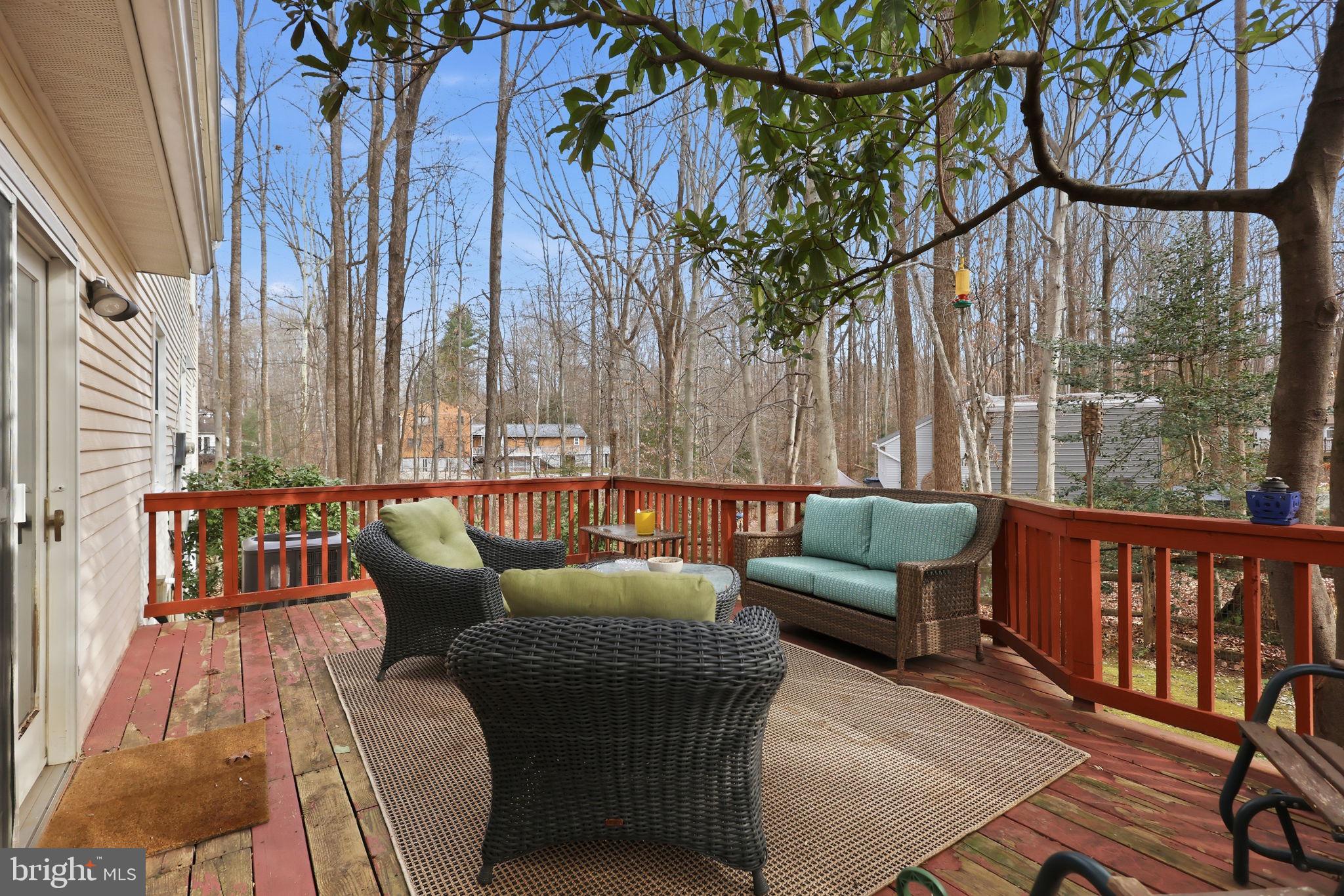 12533 BASSWOOD DRIVE