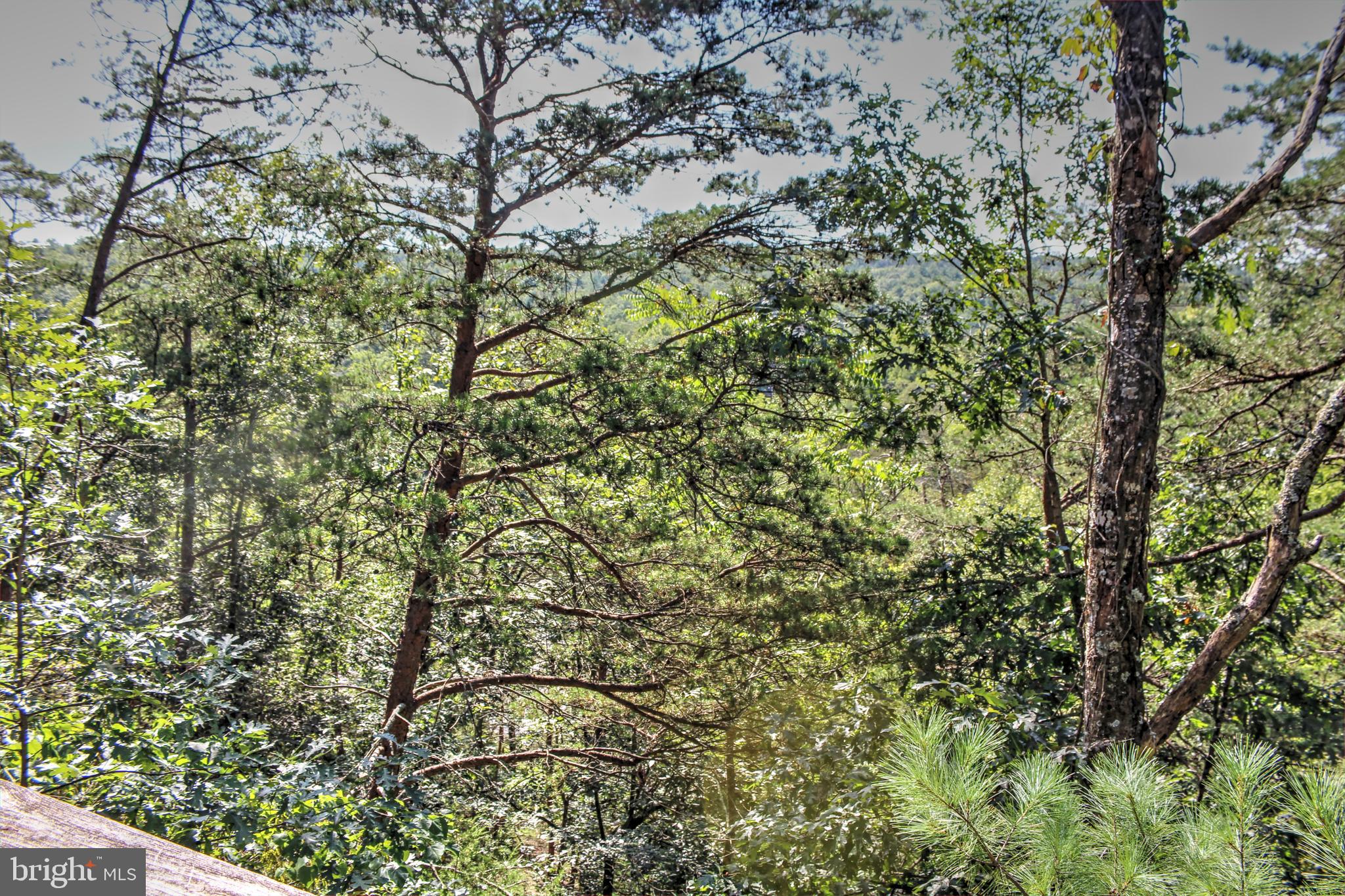 198 HOODS POINT ROAD