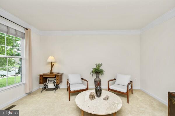 66 Coachman Cir
