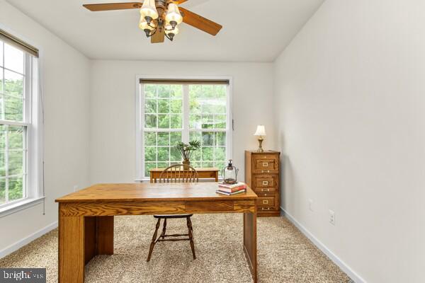 66 Coachman Cir