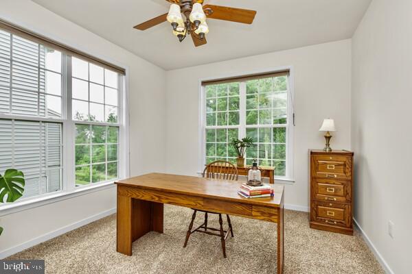 66 Coachman Cir