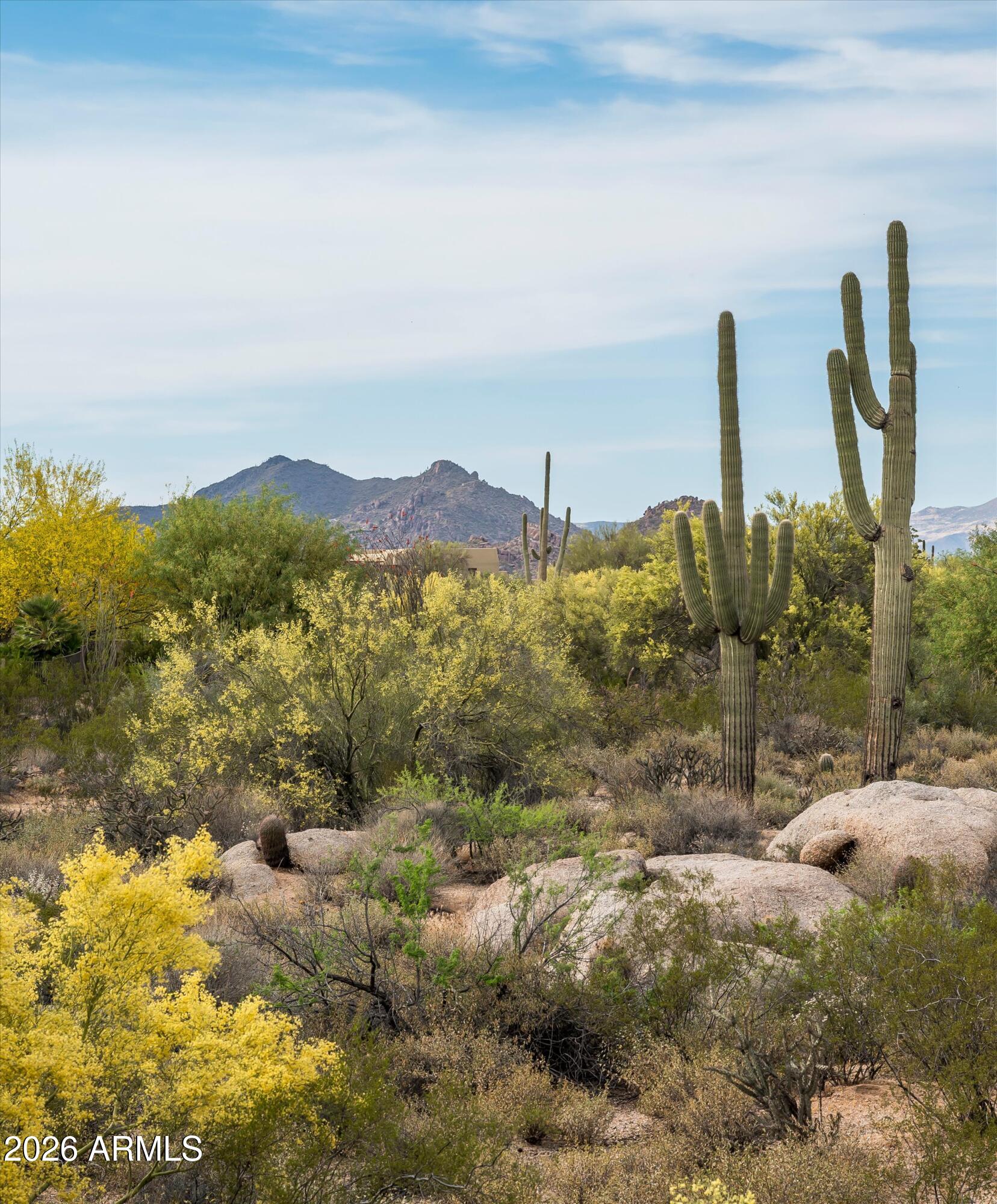 8400 E Dixileta Drive 128