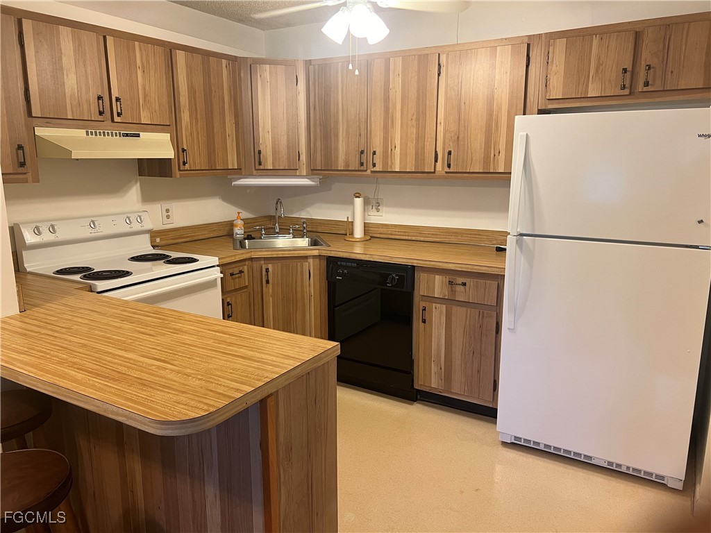 305 knotty pine CIR D-1