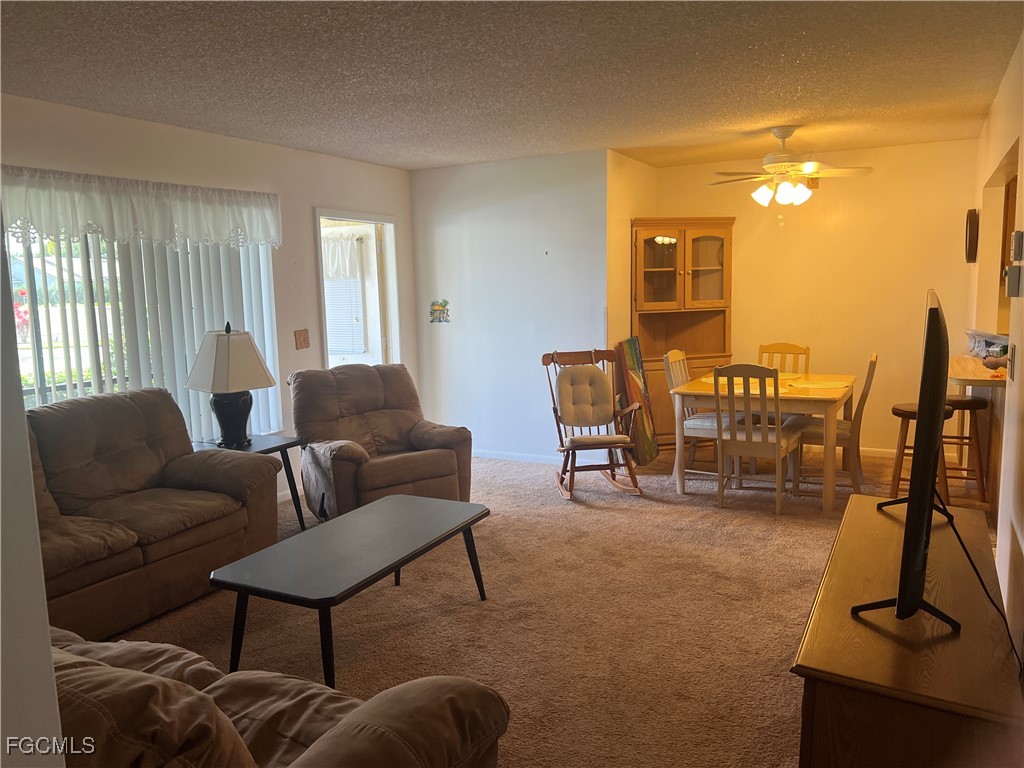 305 knotty pine CIR D-1