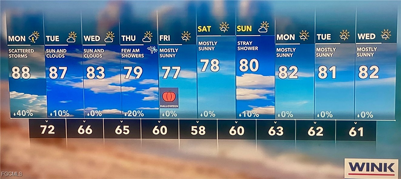 21590 Widgeon TER 98