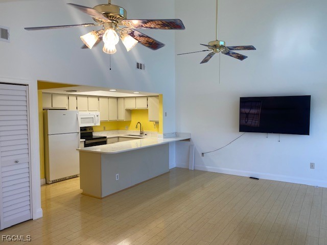 21590 Widgeon TER 98