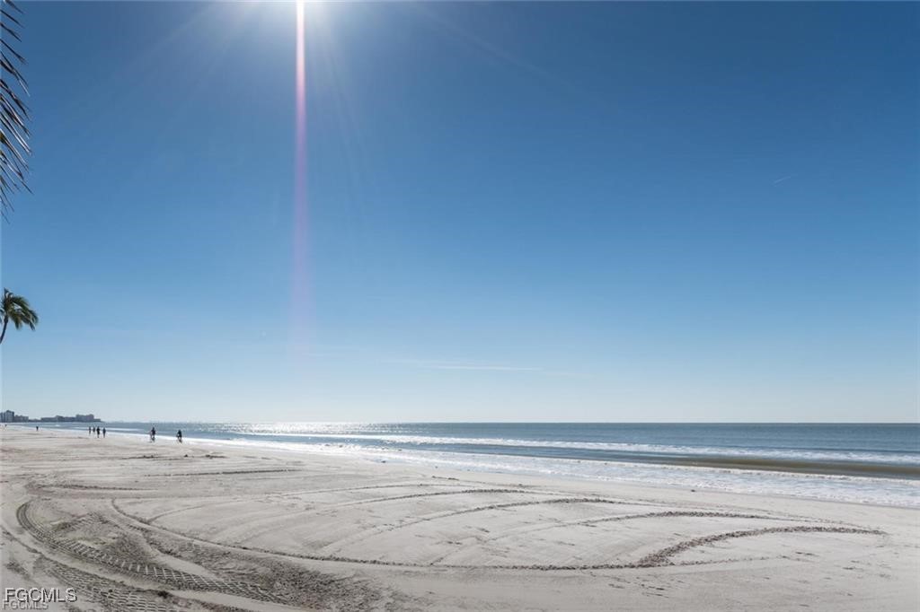 21590 Widgeon TER 98