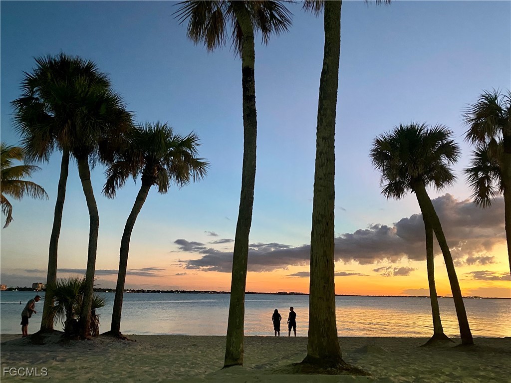 21590 Widgeon TER 98