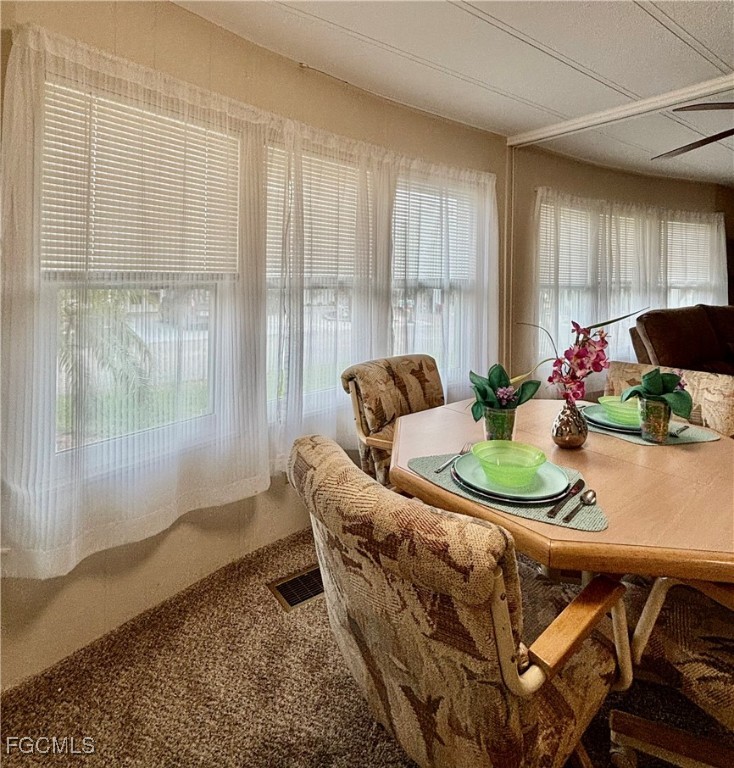 511 Pine Tree CT