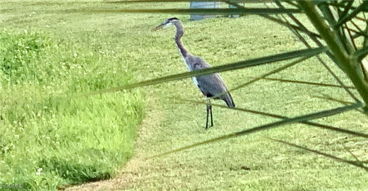 3159 Indian Village LN