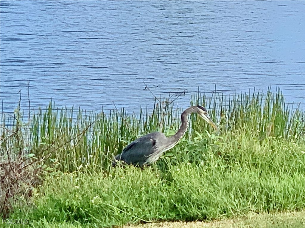 3159 Indian Village LN