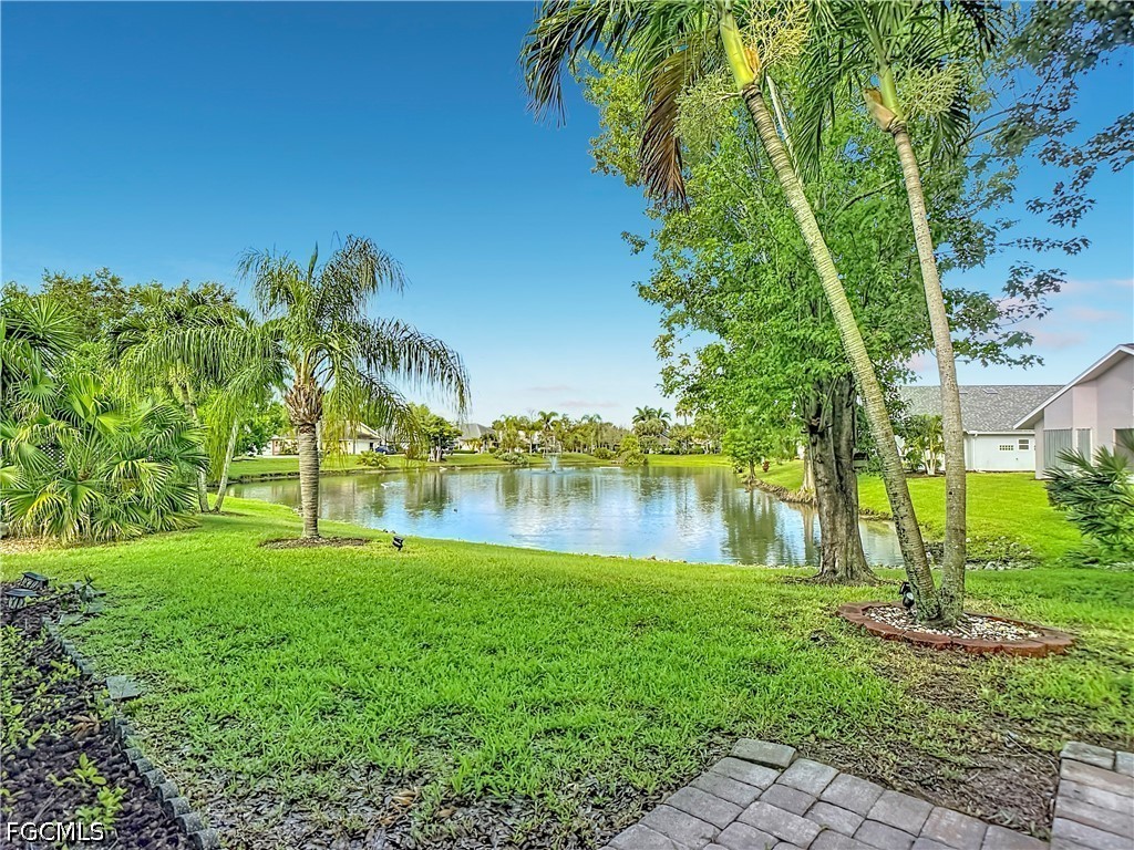13351 Wild Cotton CT