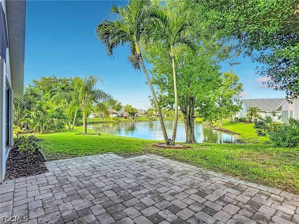 13351 Wild Cotton CT