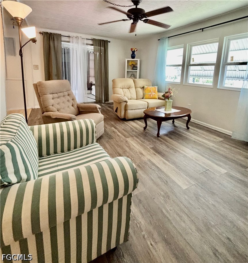 730 Knotty Pine CIR