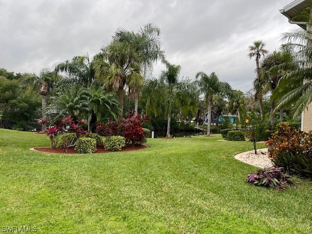 15370 Transit CT 110