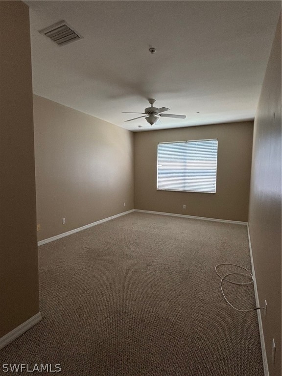 28109 Mandolin CT 312