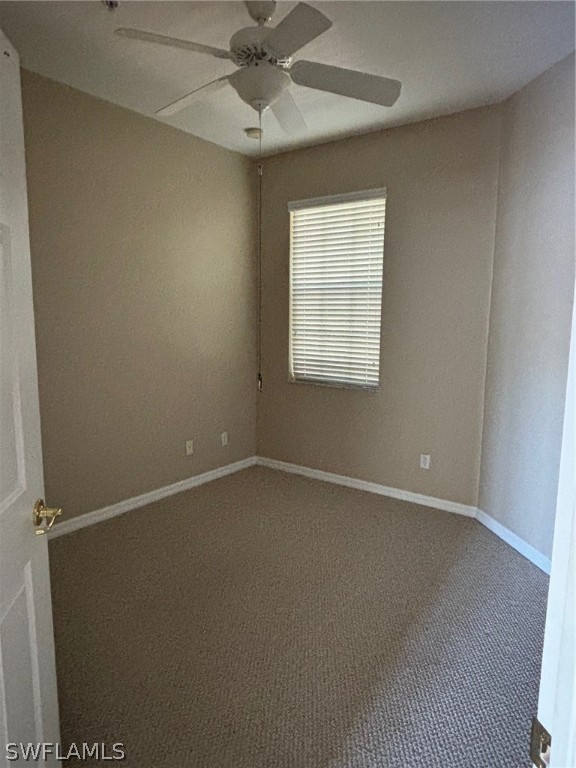 28109 Mandolin CT 312