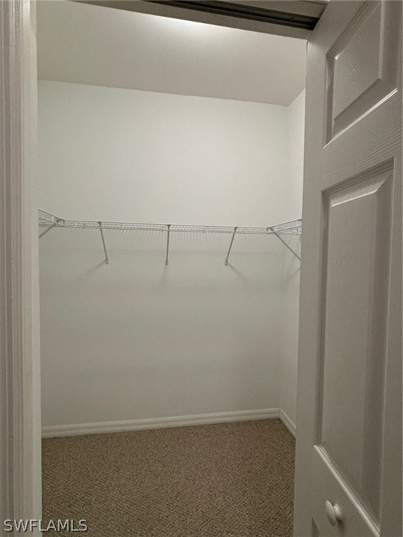 28109 Mandolin CT 312