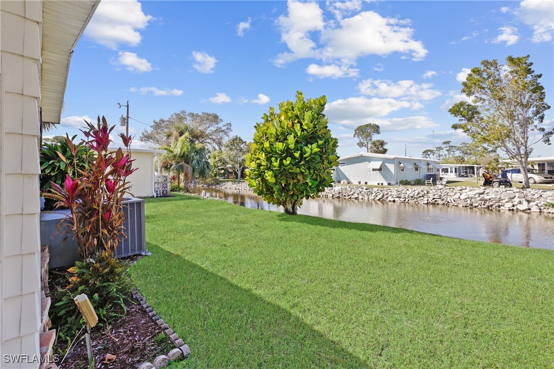 707 Palm Frond CT