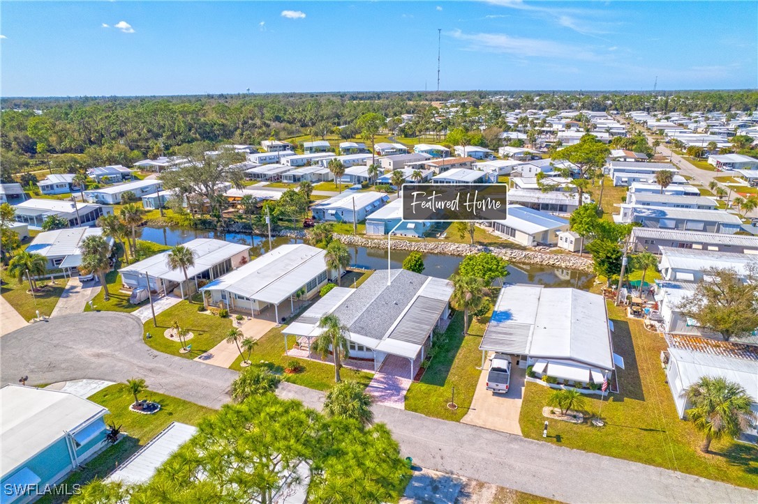 707 Palm Frond CT