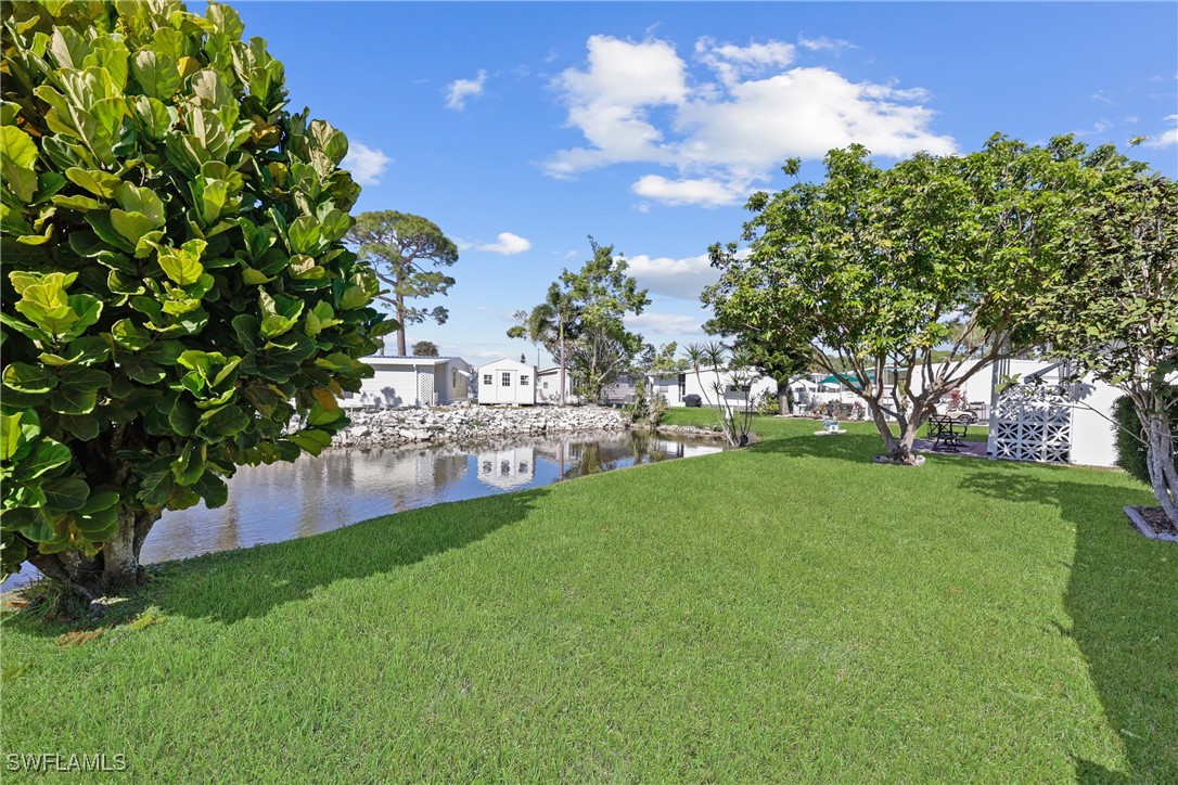 707 Palm Frond CT