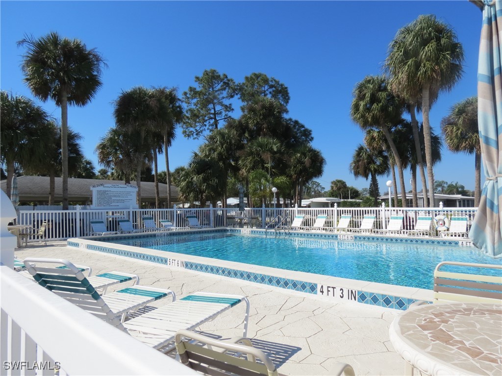 707 Palm Frond CT