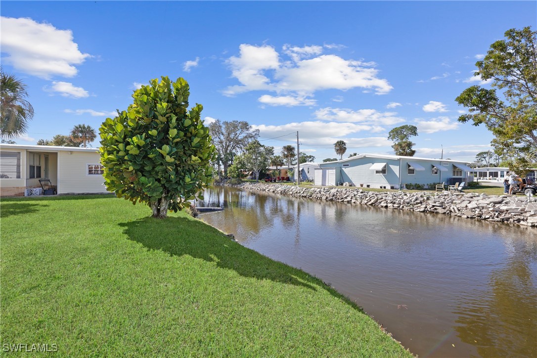 707 Palm Frond CT