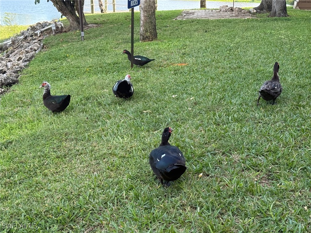 2065 W Lakeview BLVD C-5