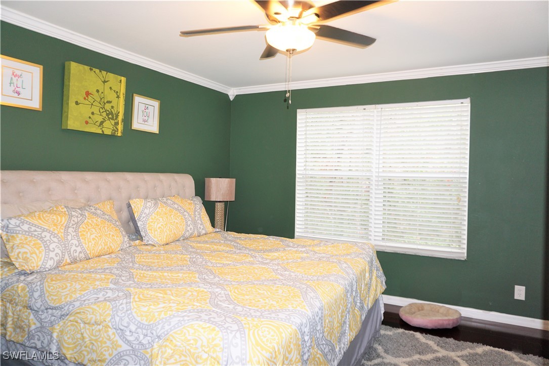 15130 Piping Plover CT 105