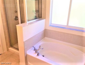 15130 Piping Plover CT 105