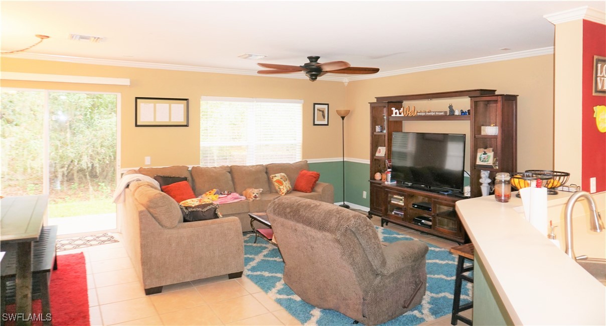 15130 Piping Plover CT 105