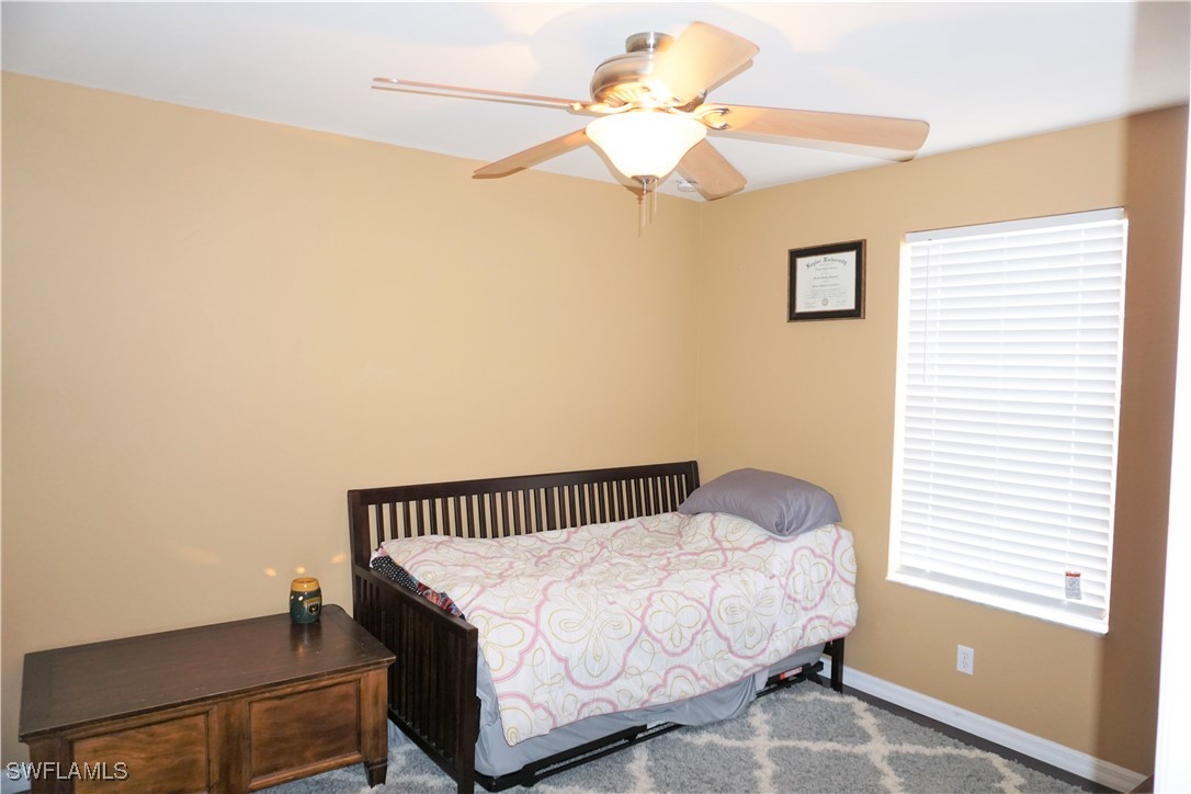 15130 Piping Plover CT 105