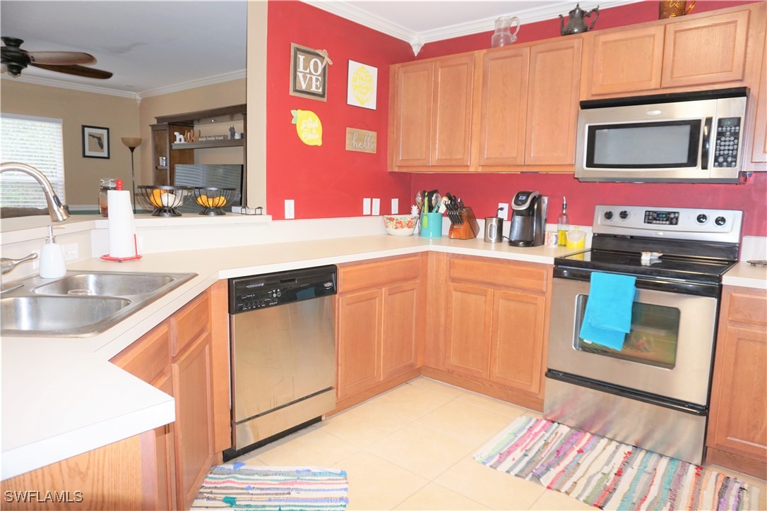 15130 Piping Plover CT 105