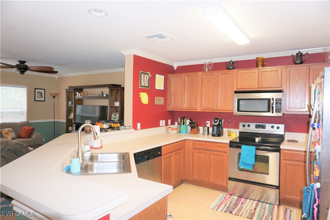 15130 Piping Plover CT 105